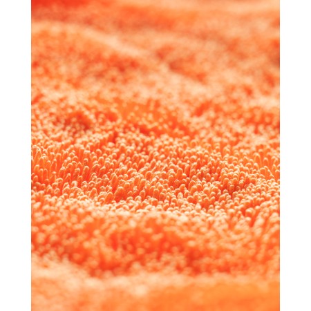 CarPro Dhydrate Bold 70x90cm 1000gsm Πετσέτα Στεγνώματος